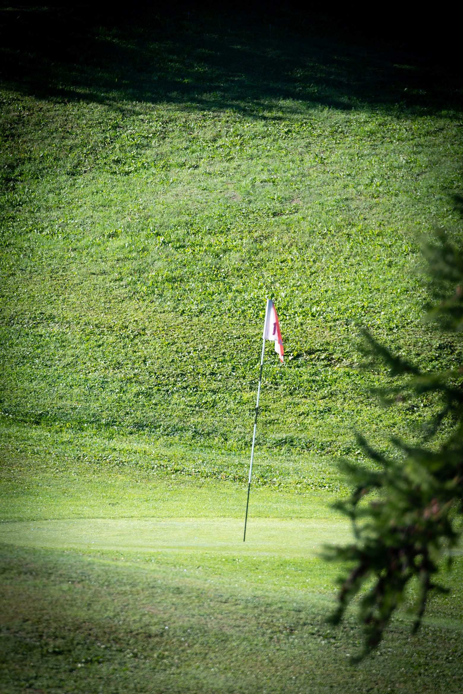 Drapeau sur un green du Golf de Montgenèvre, entre les mélèzes